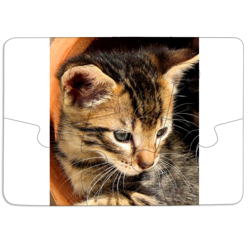 Магнитные фотопазлы 85 на 60 