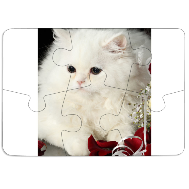Магнитные фотопазлы 85 на 60 Fluffy Cat