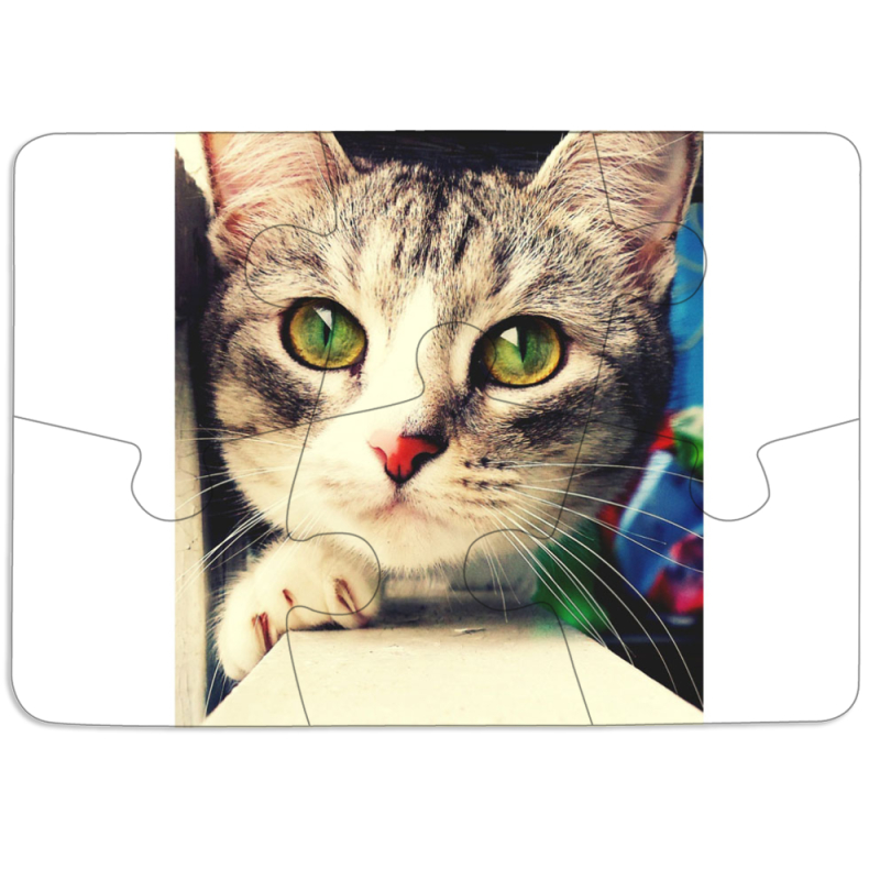 Магнитные фотопазлы 85 на 60 