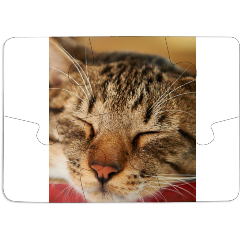 Магнитные фотопазлы 85 на 60 