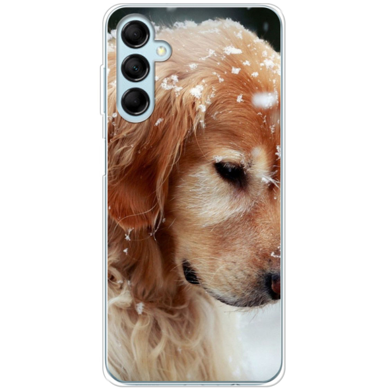 Чехол BoxFace Samsung Galaxy M14 5G (M146) Golden Retriever