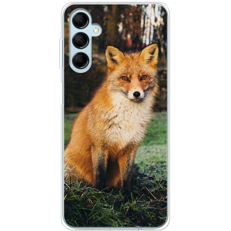 Чехол BoxFace Samsung Galaxy M14 5G (M146) 