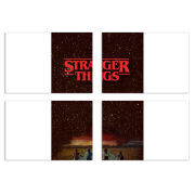 Магнитные фотопазлы 100 на 70 набор 4 штуки 