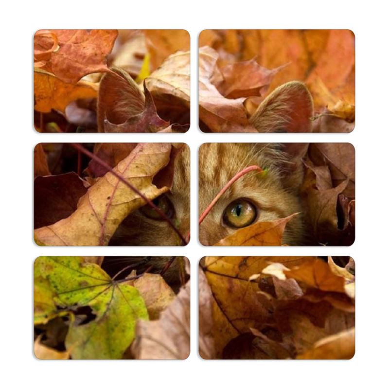 Магнитные фотопазлы 80 на 50 набор 6 штук 