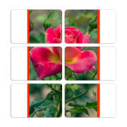 Магнитные фотопазлы 80 на 50 набор 6 штук 