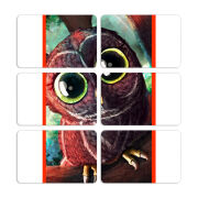 Магнитные фотопазлы 80 на 50 набор 6 штук 