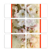 Магнитные фотопазлы 80 на 50 набор 6 штук 