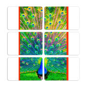 Магнитные фотопазлы 80 на 50 набор 6 штук 