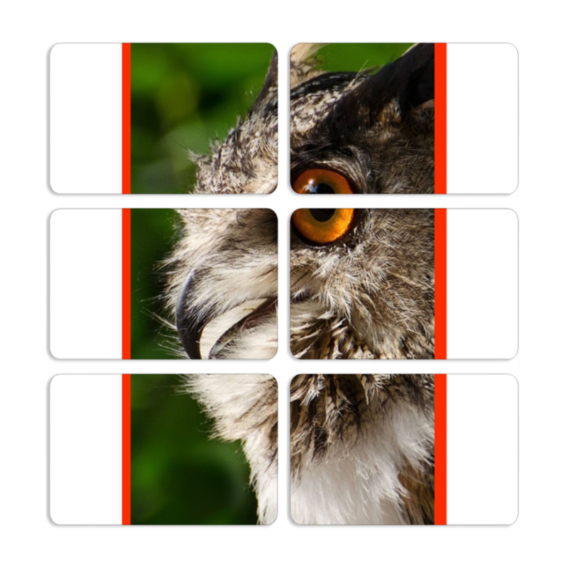 Магнитные фотопазлы 80 на 50 набор 6 штук 