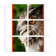 Магнитные фотопазлы 80 на 50 набор 6 штук 