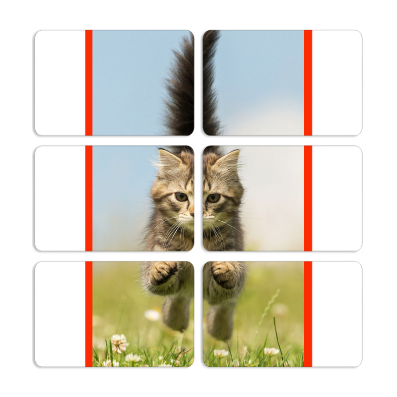 Магнитные фотопазлы 80 на 50 набор 6 штук 