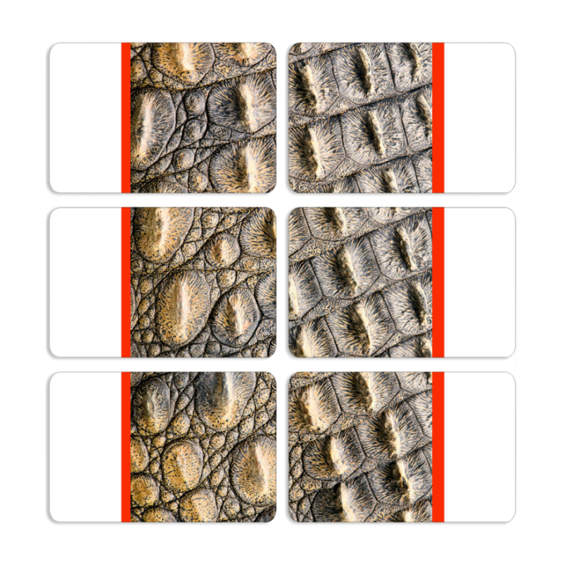 Магнитные фотопазлы 80 на 50 набор 6 штук 