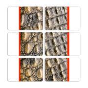 Магнитные фотопазлы 80 на 50 набор 6 штук 