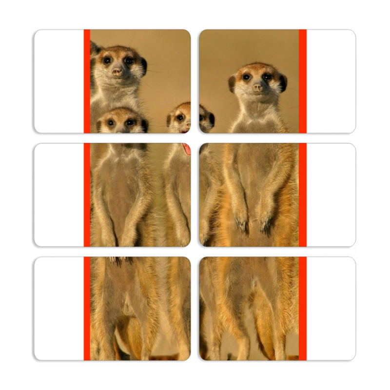 Магнитные фотопазлы 80 на 50 набор 6 штук 