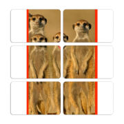 Магнитные фотопазлы 80 на 50 набор 6 штук 