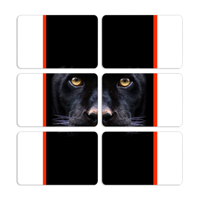 Магнитные фотопазлы 80 на 50 набор 6 штук 