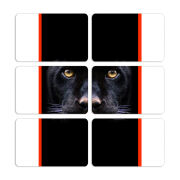 Магнитные фотопазлы 80 на 50 набор 6 штук 