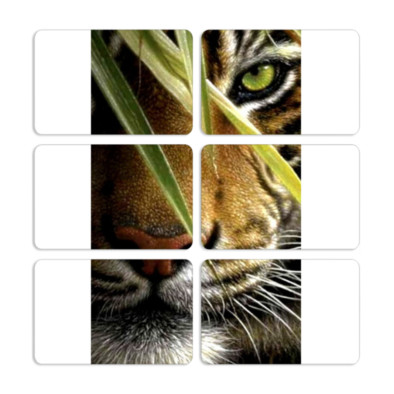 Магнитные фотопазлы 80 на 50 набор 6 штук 