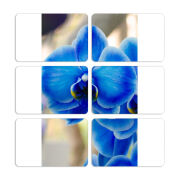 Магнитные фотопазлы 80 на 50 набор 6 штук 