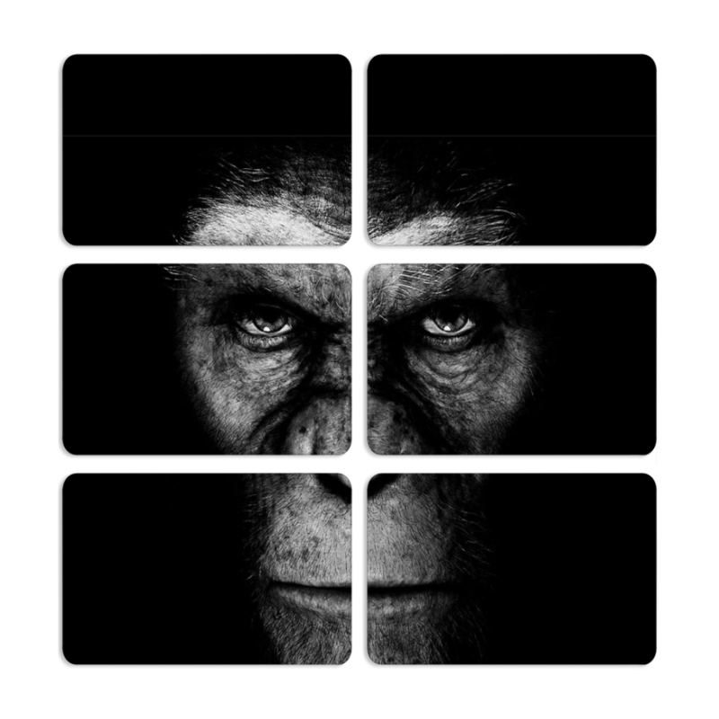 Магнитные фотопазлы 80 на 50 набор 6 штук 