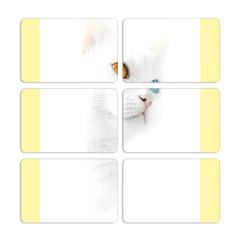 Магнитные фотопазлы 80 на 50 набор 6 штук 