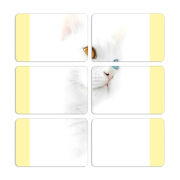 Магнитные фотопазлы 80 на 50 набор 6 штук 