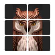 Магнитные фотопазлы 80 на 50 набор 6 штук 