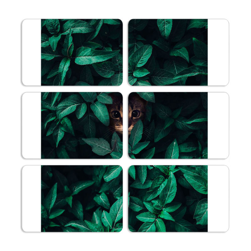 Магнитные фотопазлы 80 на 50 набор 6 штук 