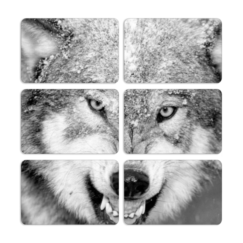 Магнитные фотопазлы 80 на 50 набор 6 штук 