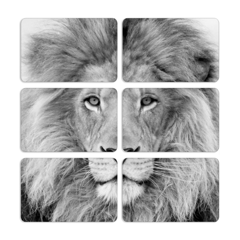 Магнитные фотопазлы 80 на 50 набор 6 штук 