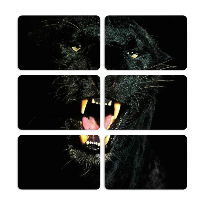 Магнитные фотопазлы 80 на 50 набор 6 штук 