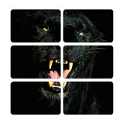 Магнитные фотопазлы 80 на 50 набор 6 штук 