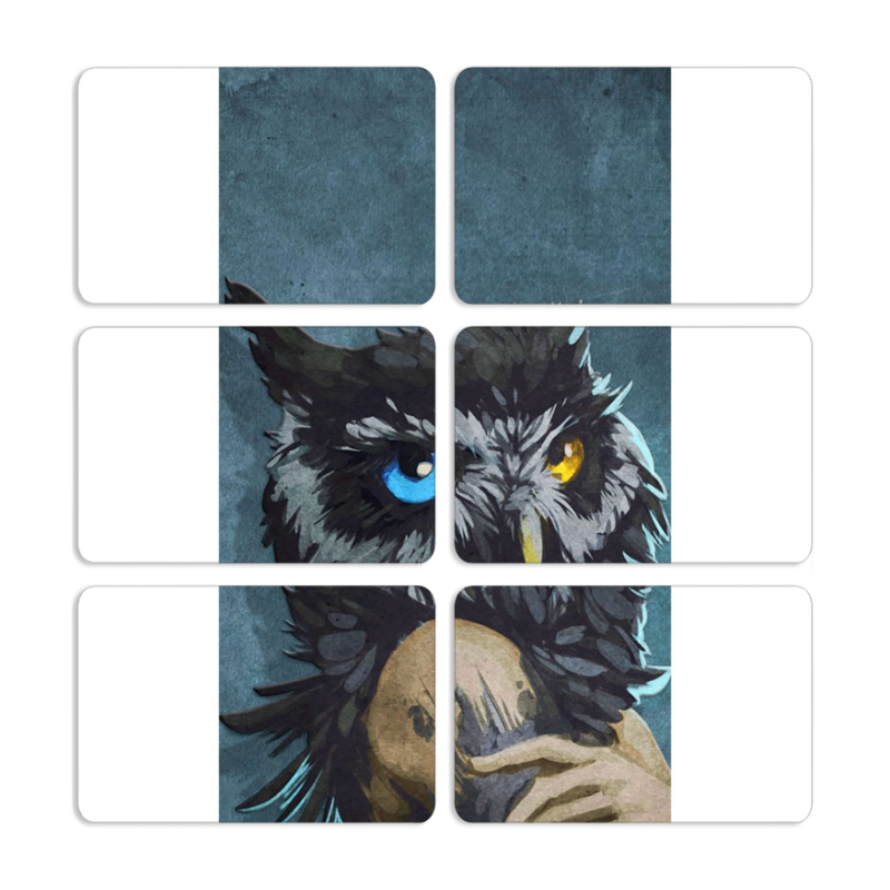 Магнитные фотопазлы 80 на 50 набор 6 штук Owl Woman