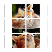 Магнитные фотопазлы 80 на 50 набор 6 штук 