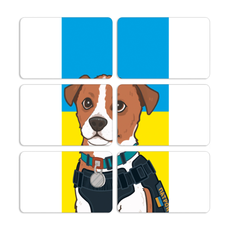 Магнитные фотопазлы 80 на 50 набор 6 штук Пес Патрон