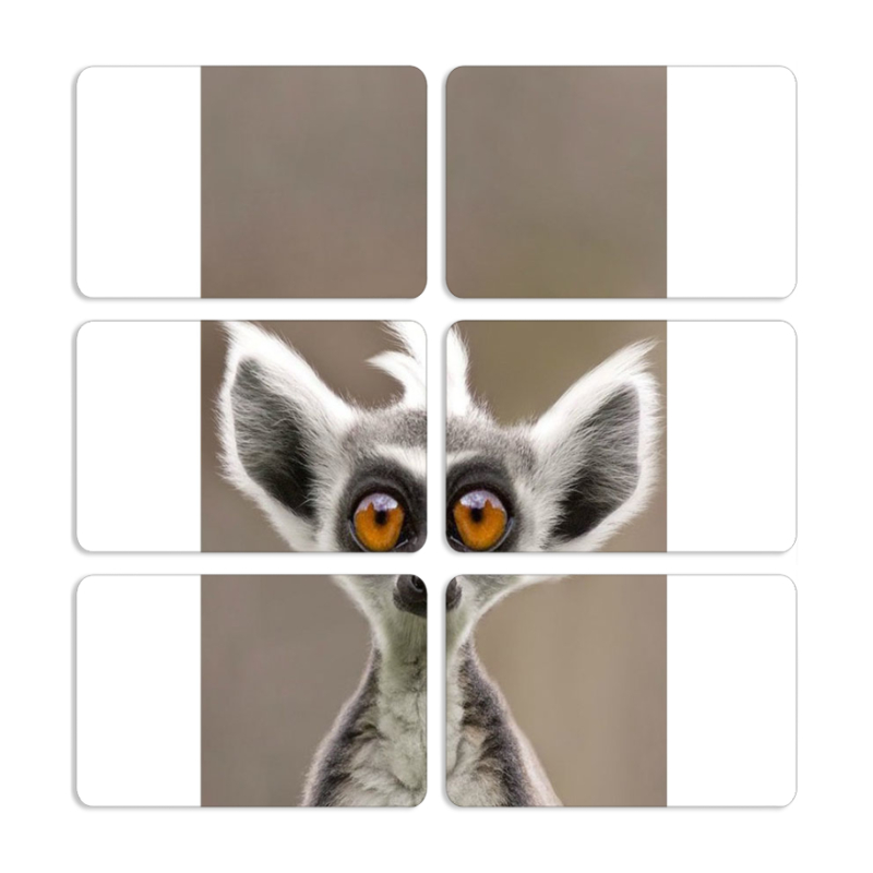 Магнитные фотопазлы 80 на 50 набор 6 штук 