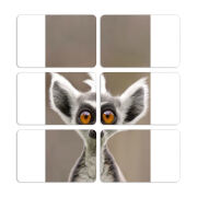 Магнитные фотопазлы 80 на 50 набор 6 штук 