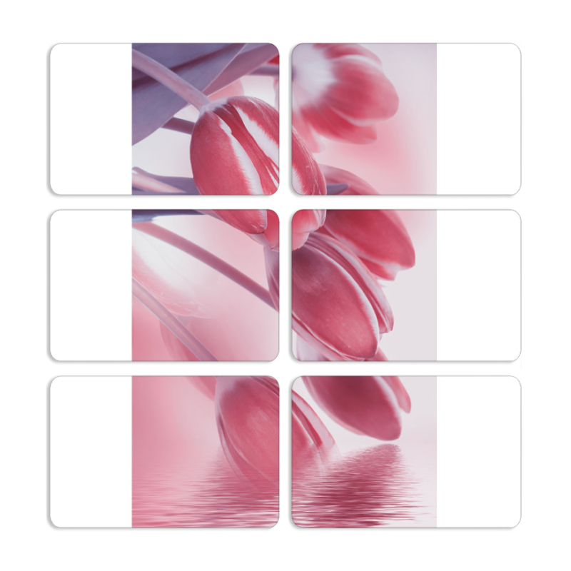 Магнитные фотопазлы 80 на 50 набор 6 штук 