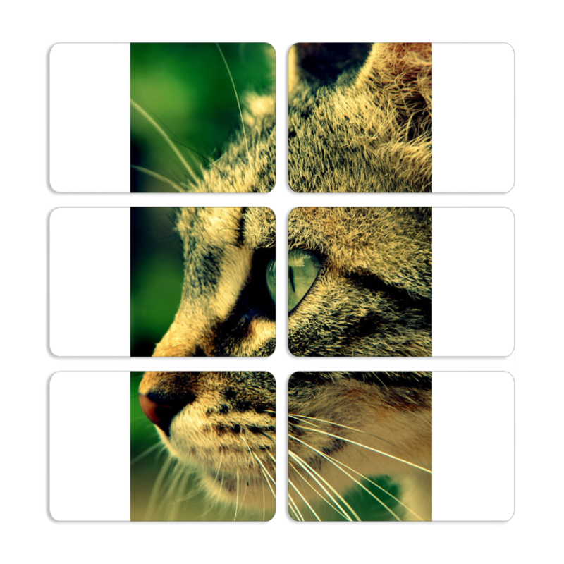 Магнитные фотопазлы 80 на 50 набор 6 штук 