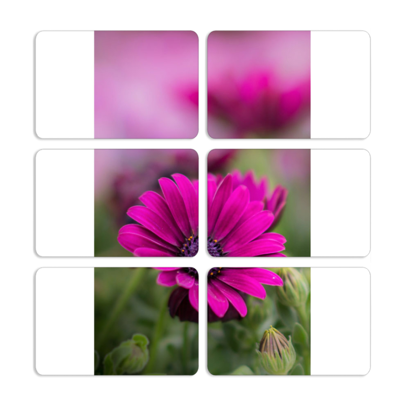 Магнитные фотопазлы 80 на 50 набор 6 штук 