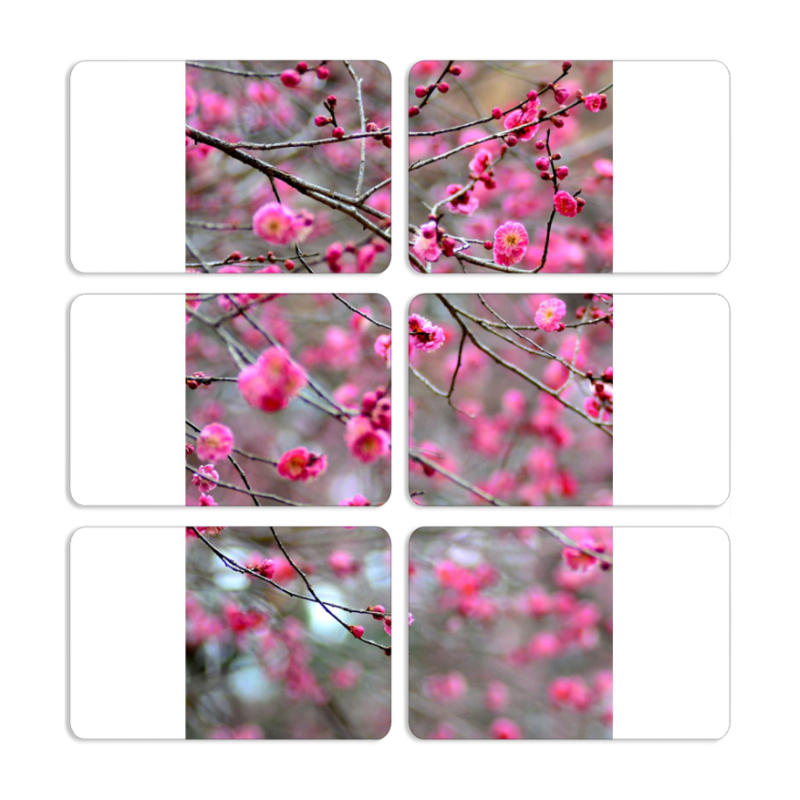 Магнитные фотопазлы 80 на 50 набор 6 штук 