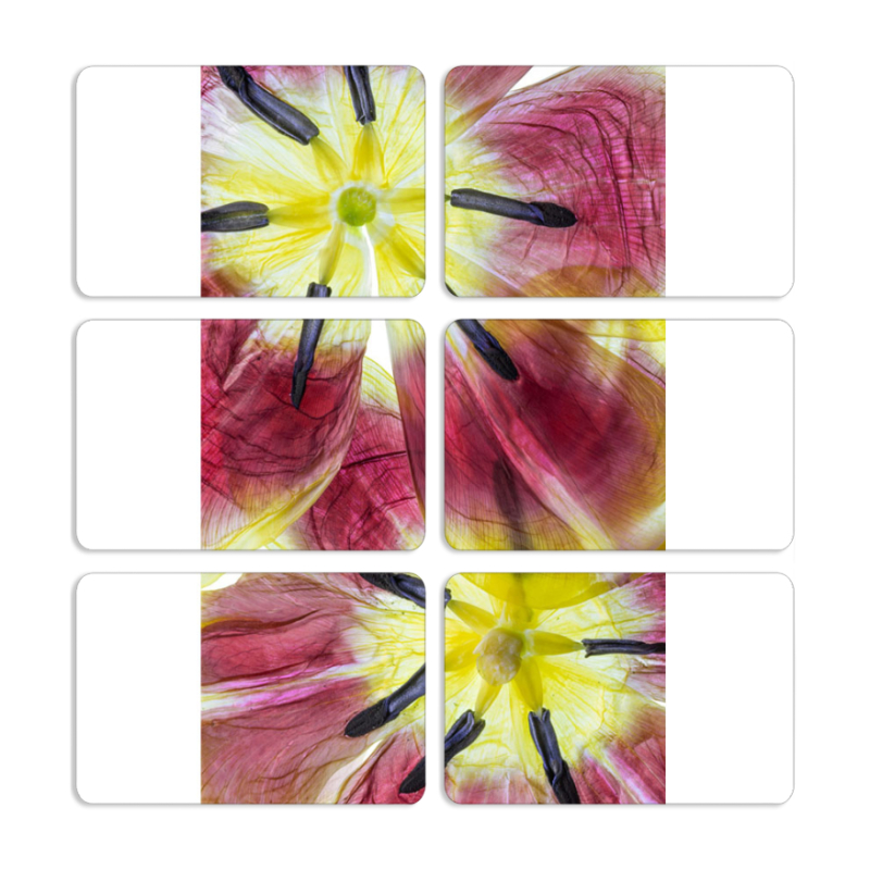 Магнитные фотопазлы 80 на 50 набор 6 штук 