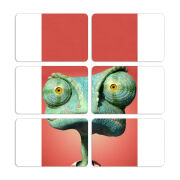 Магнитные фотопазлы 80 на 50 набор 6 штук 