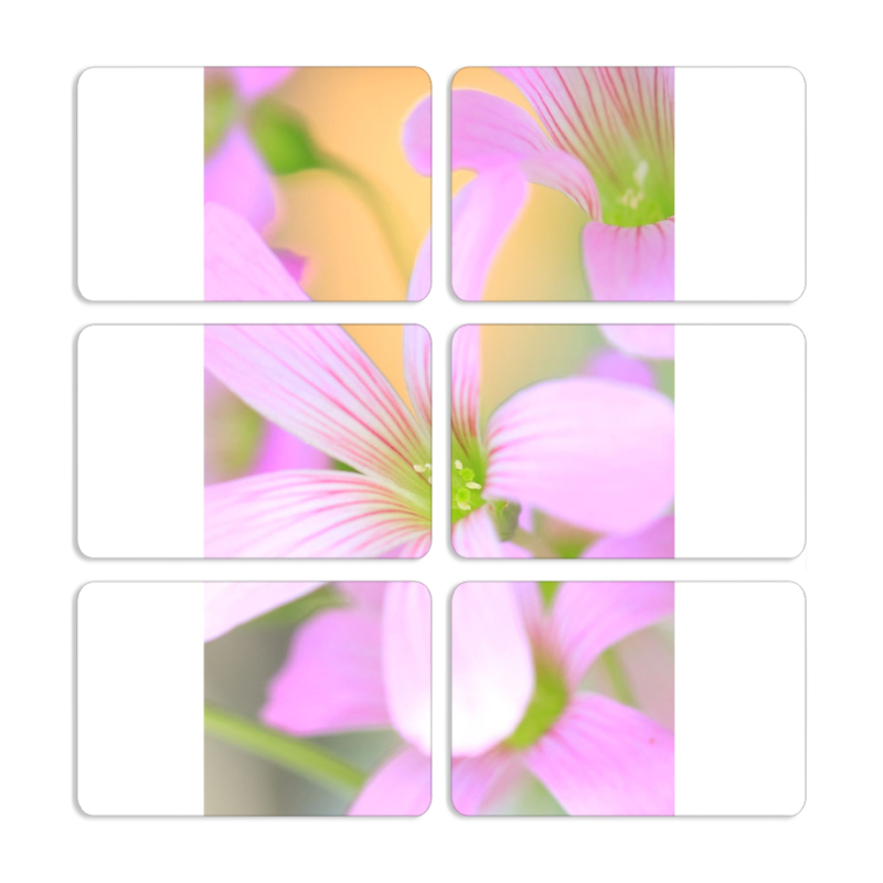 Магнитные фотопазлы 80 на 50 набор 6 штук 