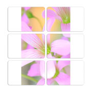 Магнитные фотопазлы 80 на 50 набор 6 штук 