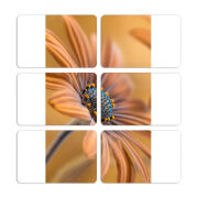 Магнитные фотопазлы 80 на 50 набор 6 штук 