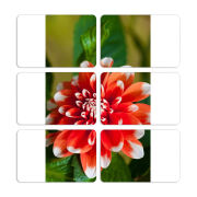 Магнитные фотопазлы 80 на 50 набор 6 штук 