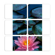 Магнитные фотопазлы 80 на 50 набор 6 штук 