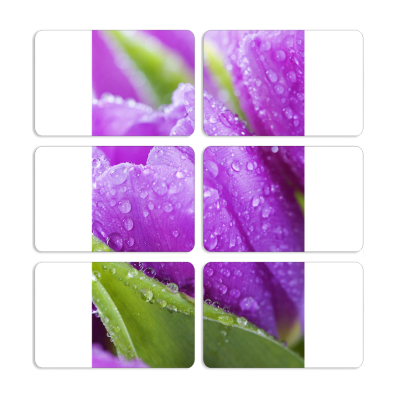 Магнитные фотопазлы 80 на 50 набор 6 штук 