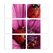 Магнитные фотопазлы 80 на 50 набор 6 штук 